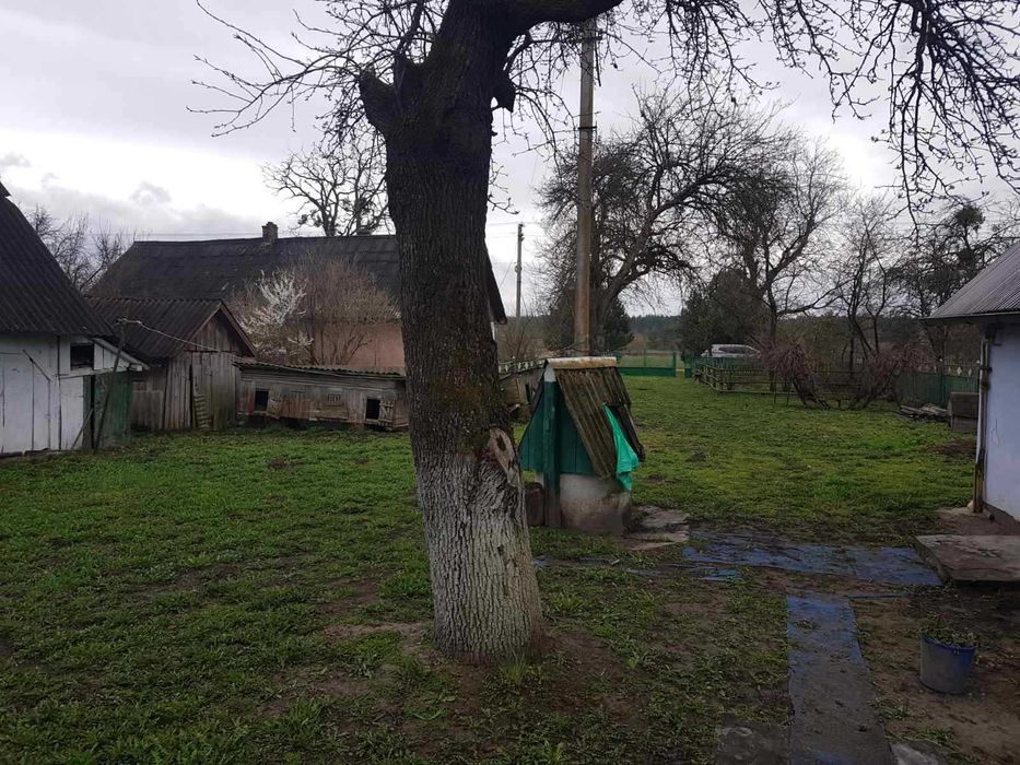Житловий будинок та земельна ділянка 60 сот., с. Воля-Жовтанецька