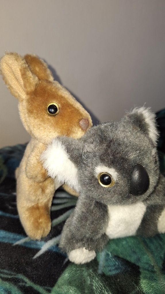 Kangur Koala - maskotki z Australii