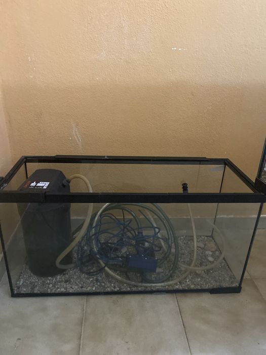 terrário e aquário com filtro de limpeza de água