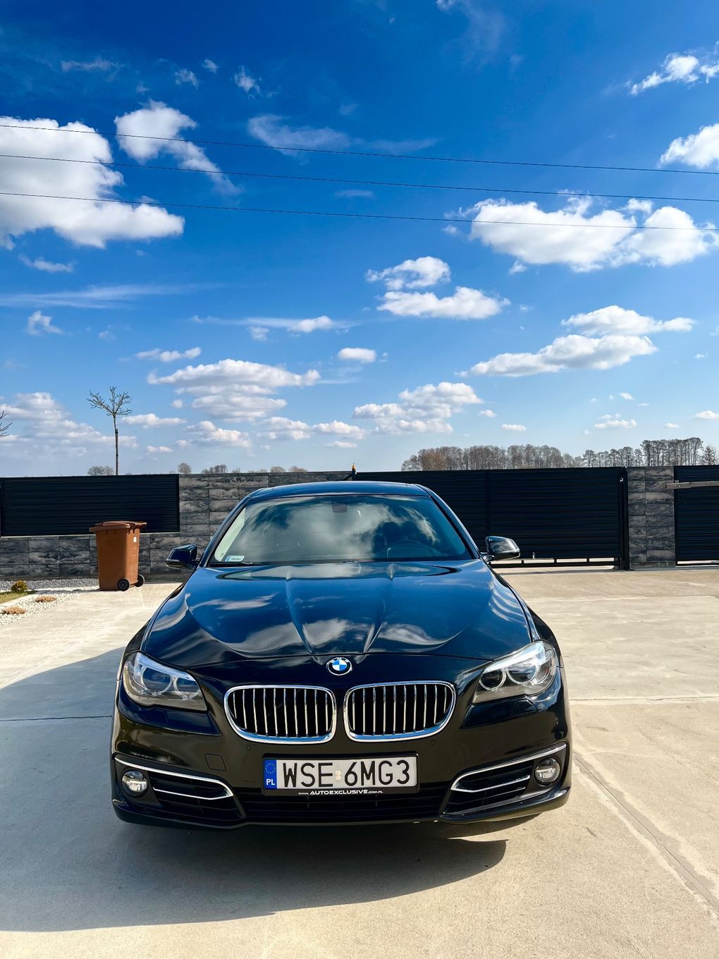 BMW Seria 5 BMW 530d Luxury Line