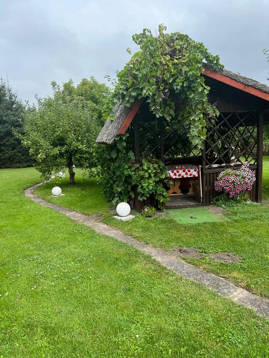 Dom dąbrowa zielona