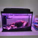 Akwarium 20l kompletne