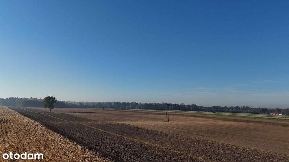 Sprzedaż działki  – cicha okolica 16 km od Kalisza