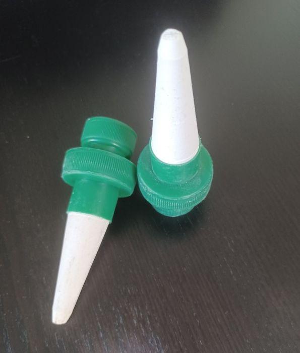 Plantas verdes e bem hidratadas