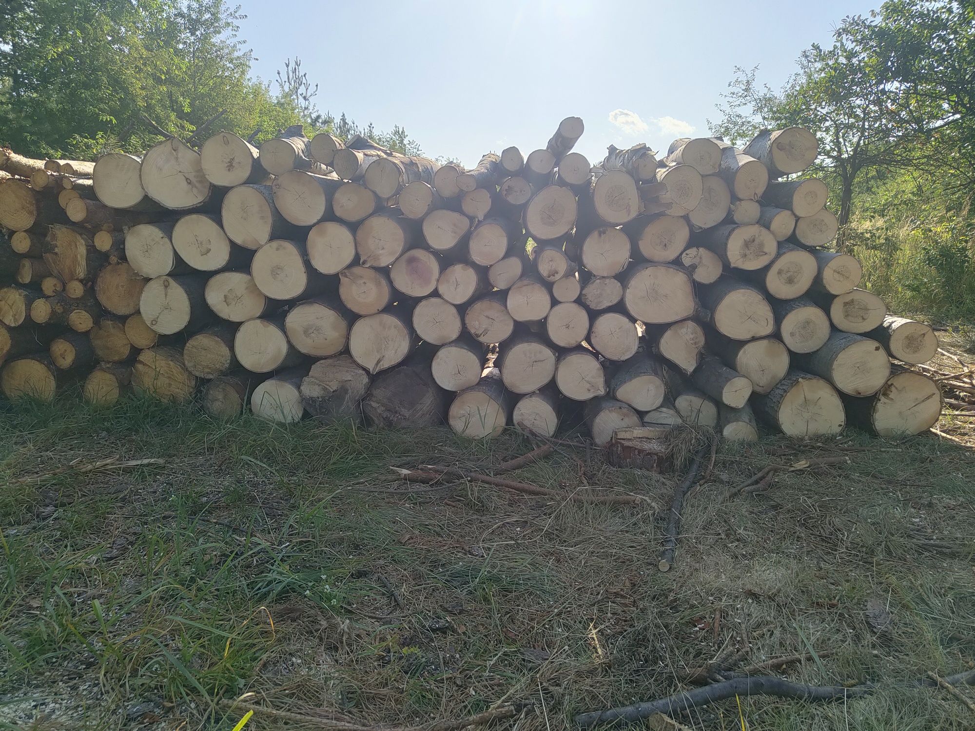 Drewno opałowe sosna, osika