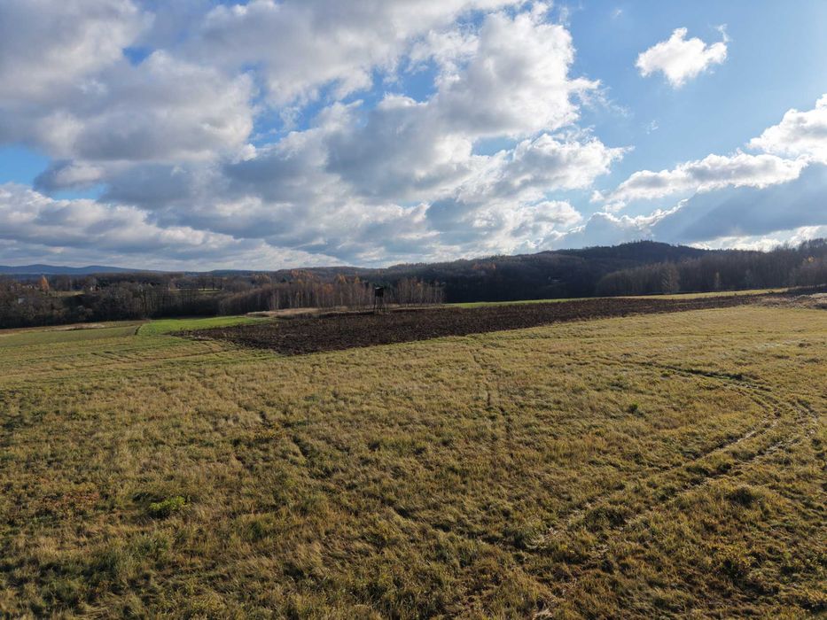 Widokowa działka 41 ar Sieklówka