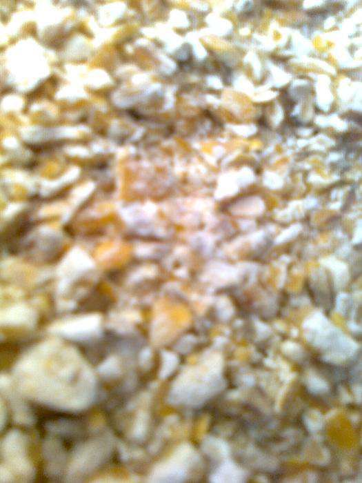 śruta kukurydziana grubo-mielona z dowozem