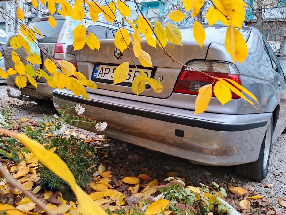 Продам мрію - ластівку