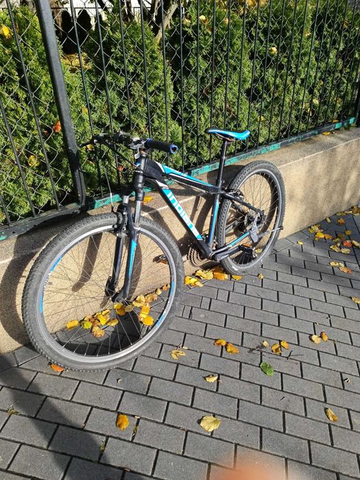 Rower Indiana MTB X-Pulser 1.9