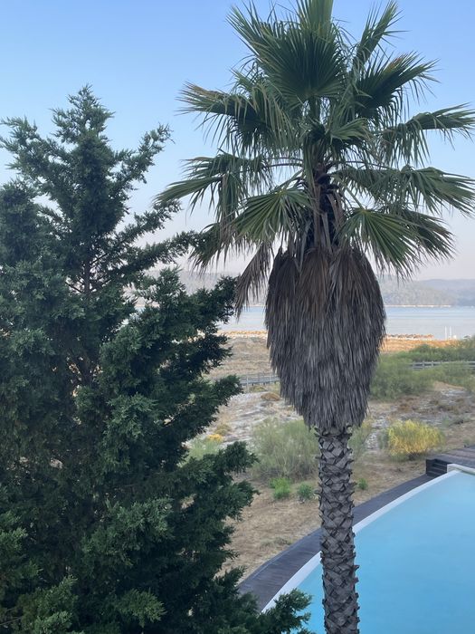 Caminhada na areia em troia todo o ano