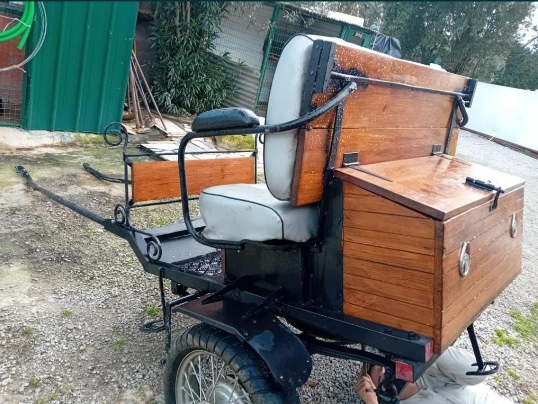 Vendo charrete impecável