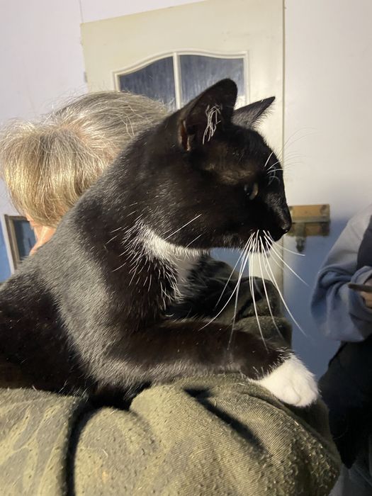 Najpiekniejszy Amorek z najcudowniejszym charakterem