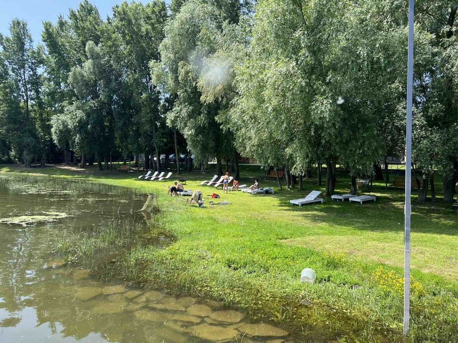 Відпочинок на Дністрі. Будинки і басейн на першій лінії.