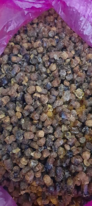 Перга бджолина гірська високогірна