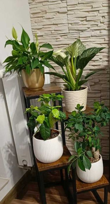 Duży kwietnik pojemny na kwiaty rośliny loft industrialny 68 cm