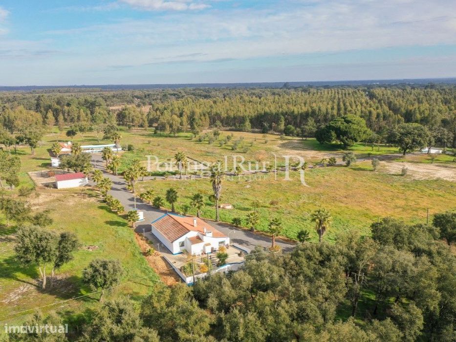 Quinta de 5 hectares, com 2 moradias e piscina