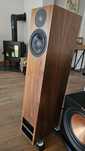 PMC twenty5.24 para kolumn walnut
