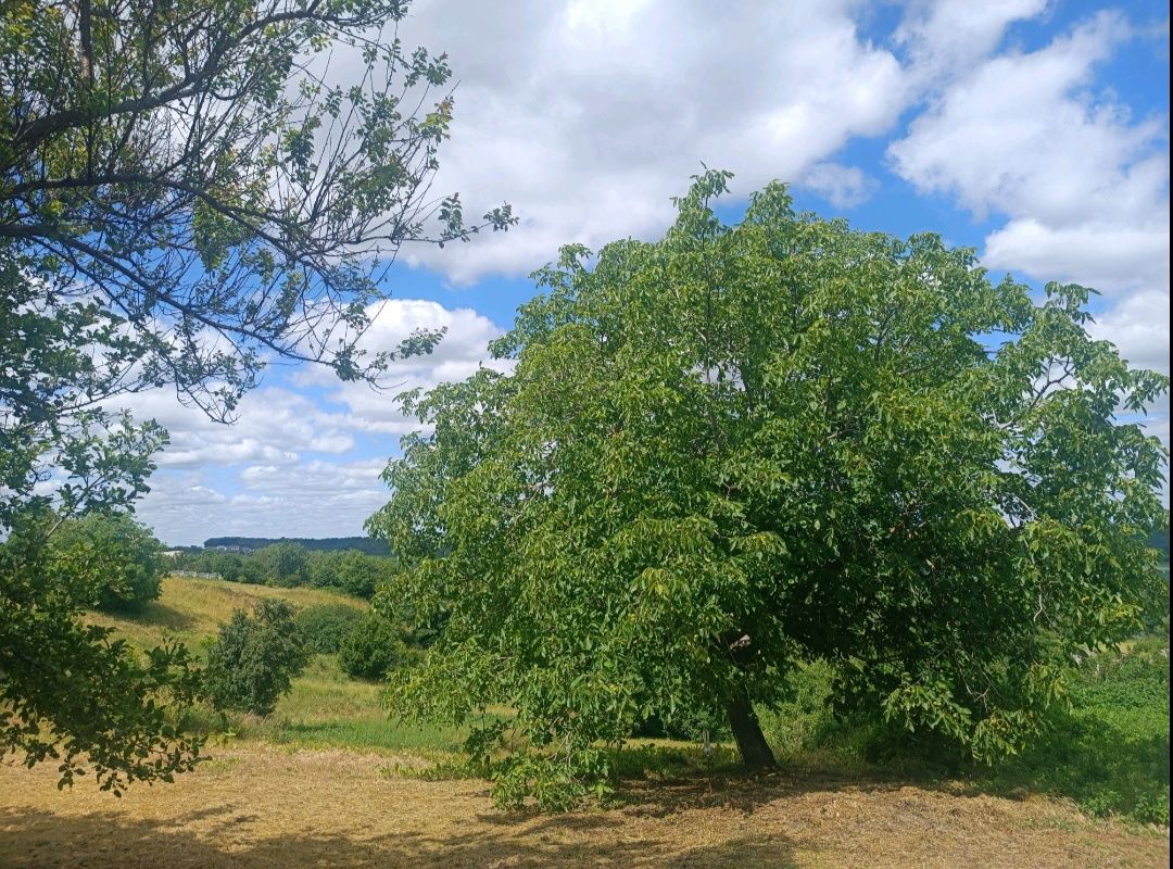 Продам будинок в с. Шкарівка, з найкращим краєвидом, Київська область