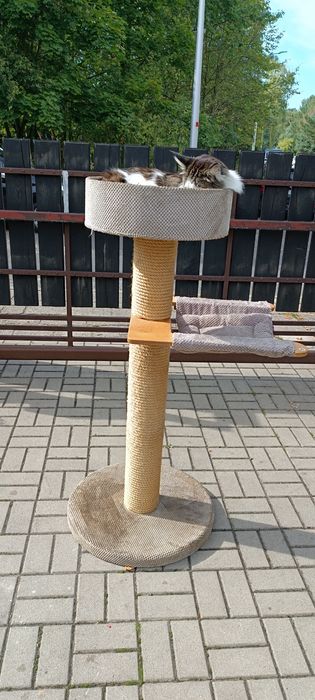 Duży Drapak dla kota