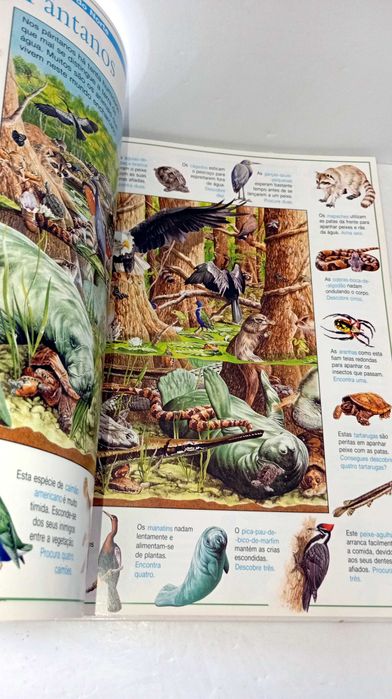 Expedição ao Mundo Animal