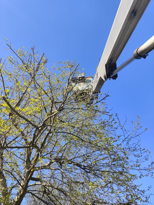 Wynajmę zwyżkę/podnośnik koszowy