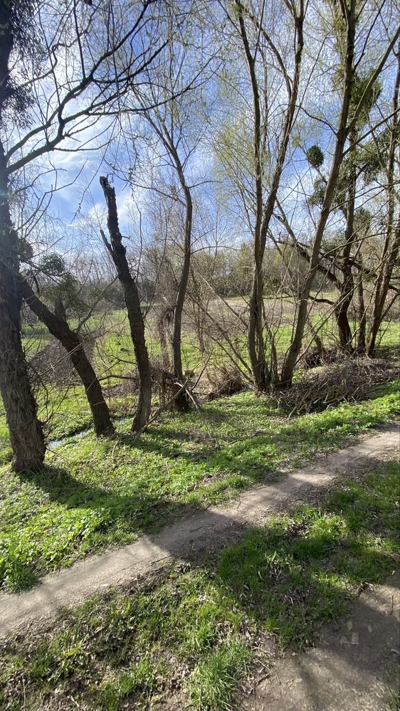 Будинок 52м2 + 38 сот. с. Долина, м. Обухів 6км