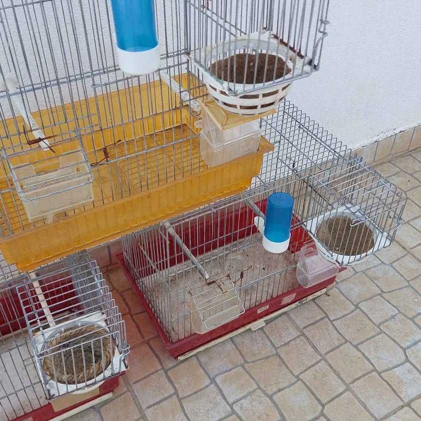 Vendo três gaiolas