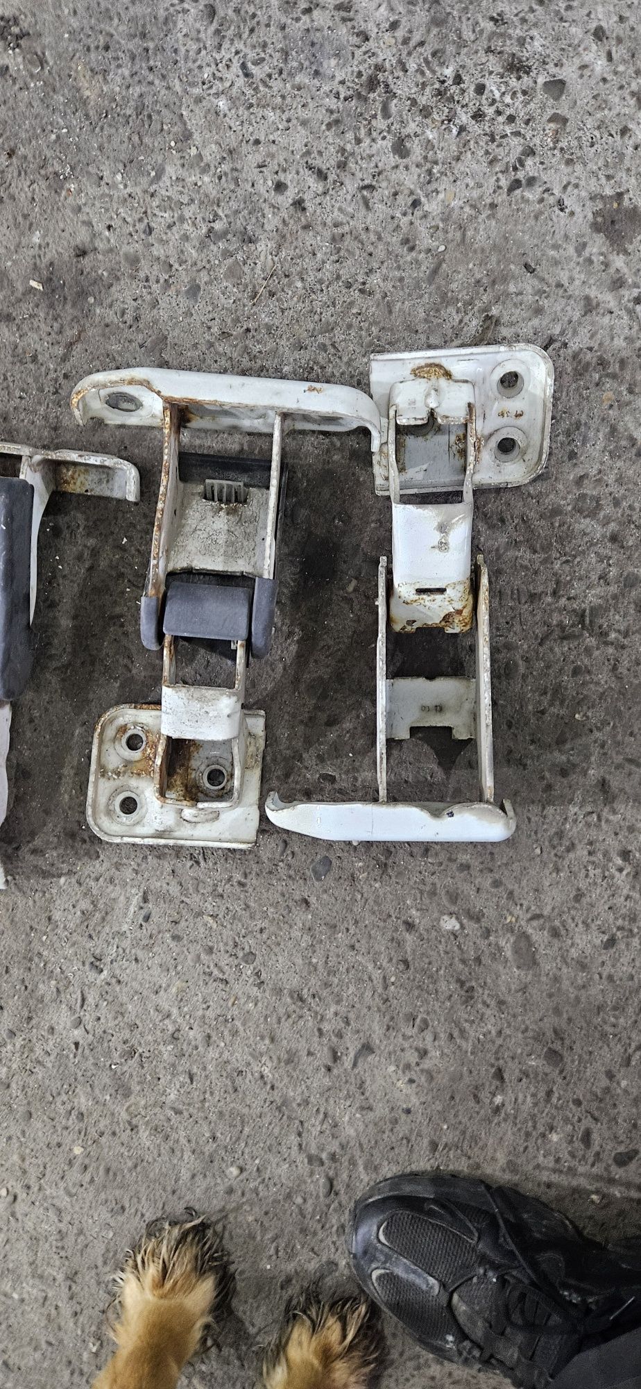 Expert Scudo Jumpy Zawias drzwi Tył