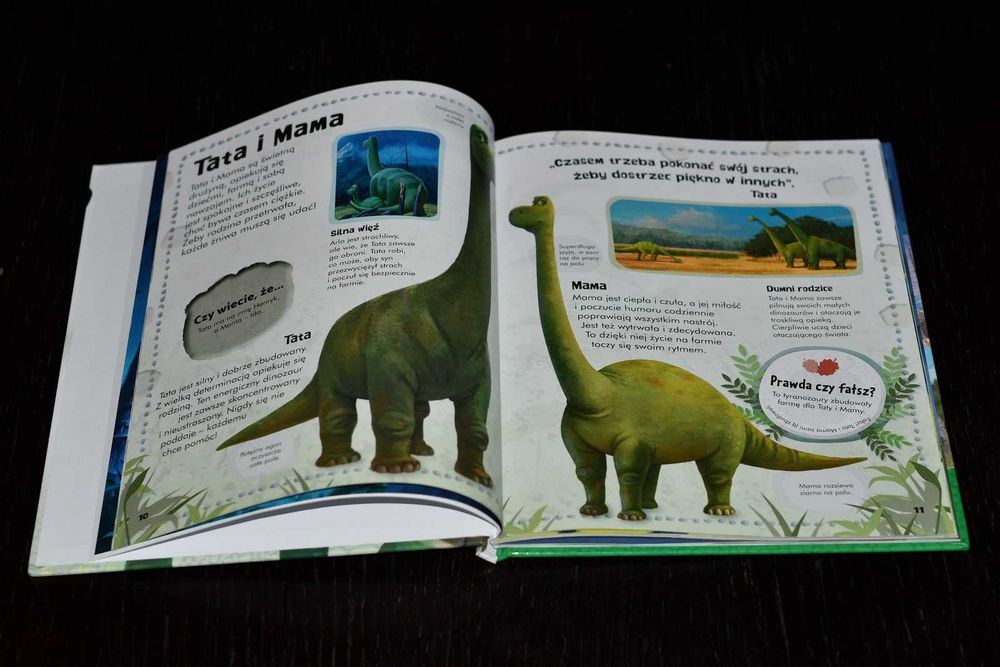 Edukacyjne: gra i dwie książki dla fana dinozaurów