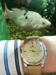Jaeger-LeCoultre JLC jaeger lecoultre K880 w stali sprawdź pozostałe