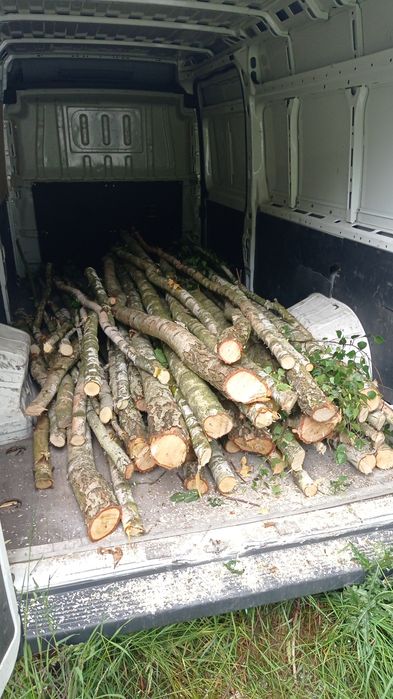 Opróżnianie domów mieszkań piwnic strychów garaży wycinka drzew gruz