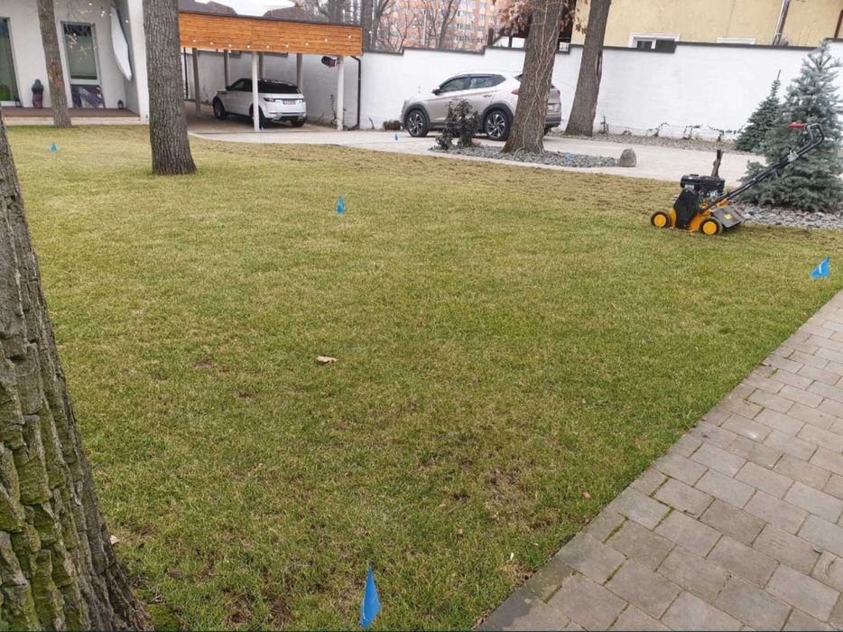 Скарифікація та аерація газону, вичісування старої трави мохів