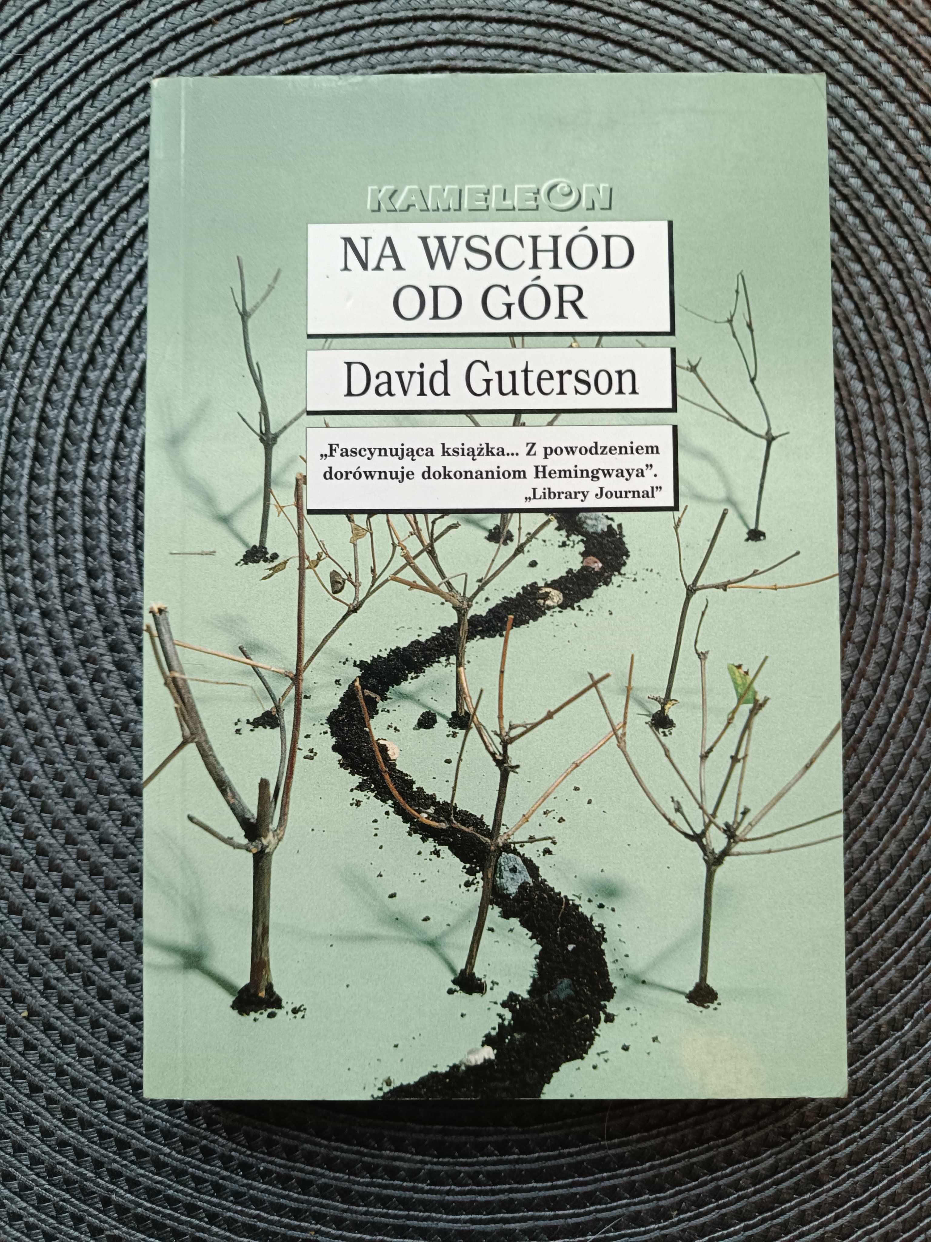 Na wschód od gór-  David Guterson