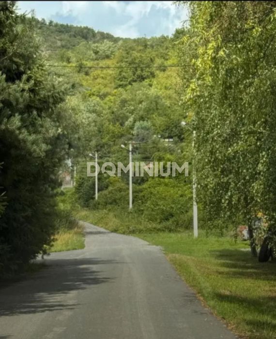 Продається земельна ділянка в м. Виноградів вул. Дачна