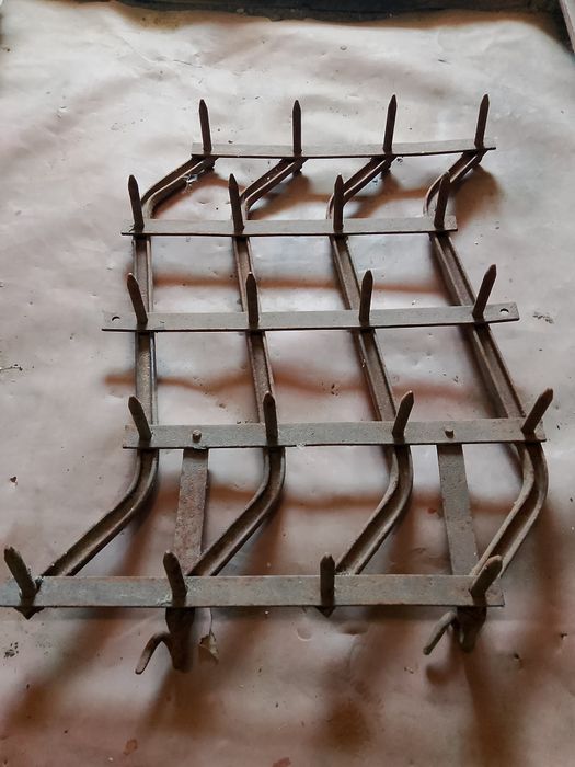 Борона зубова маленька райборінка