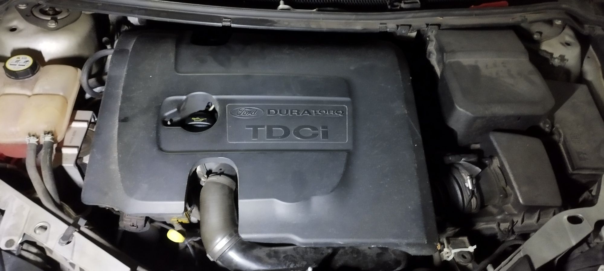 Proteção de motor 1.6 TDCI 109cv
