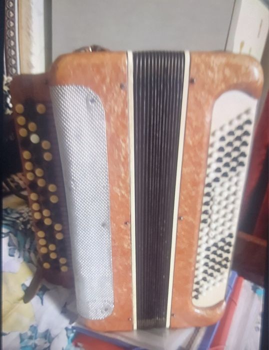 Продам боян состояние отличное