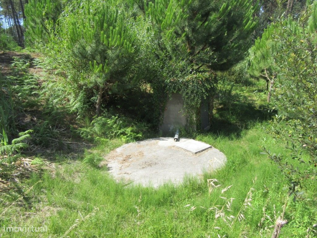 Terreno no Outeiro da Fonte