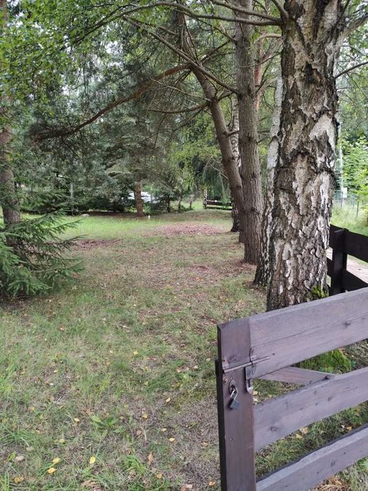 Sprzedam piękną dużą działkę na Mazurach