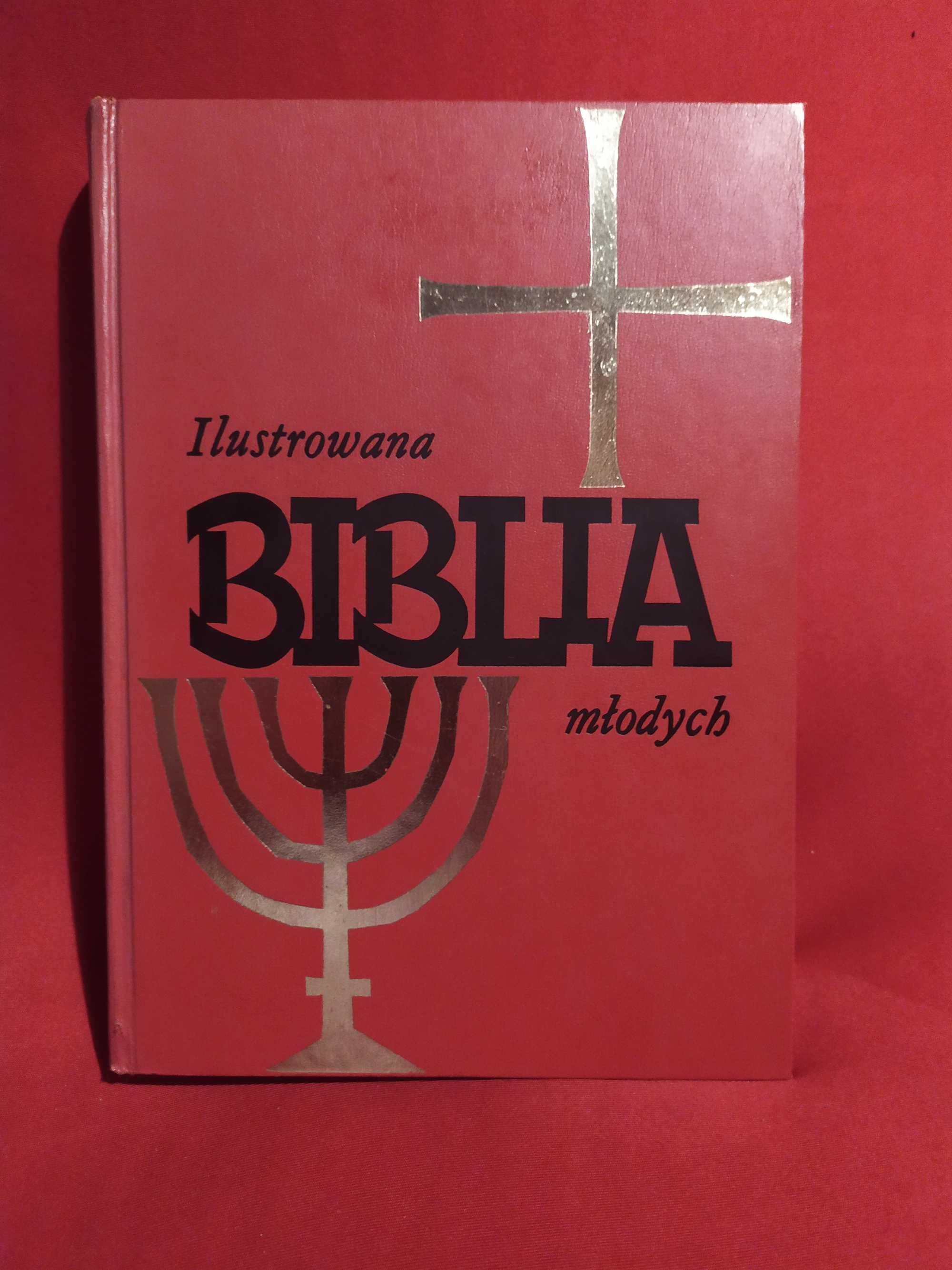 Ilustrowana Biblia młodych