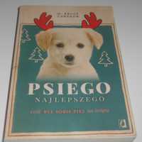 Książka Psiego Najlepszego czyli był sobie pies na święta