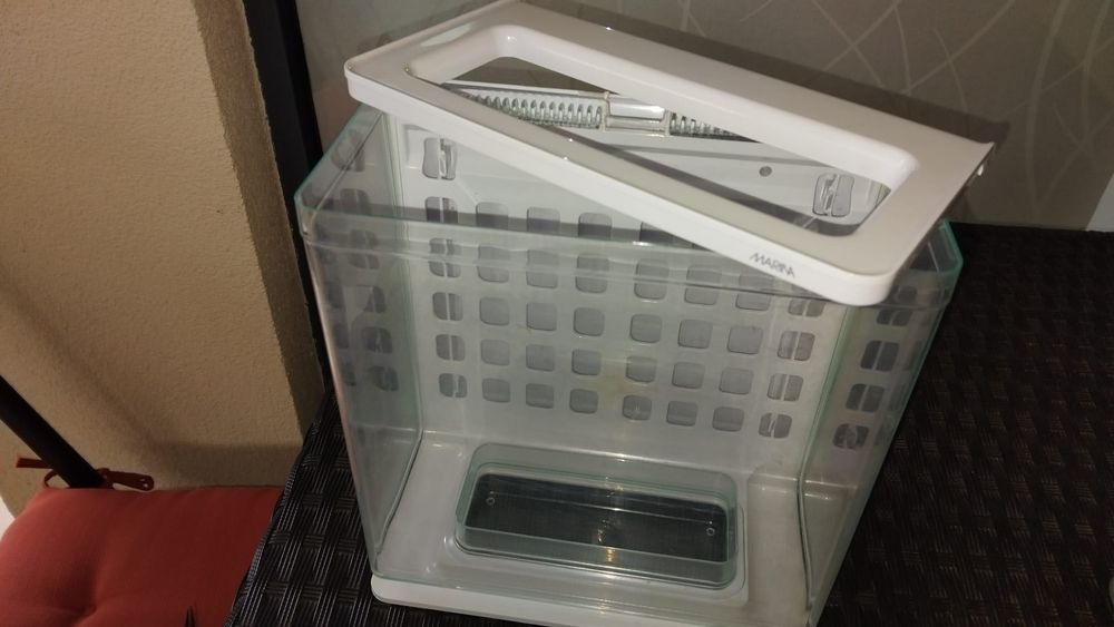 Aquário para peixes