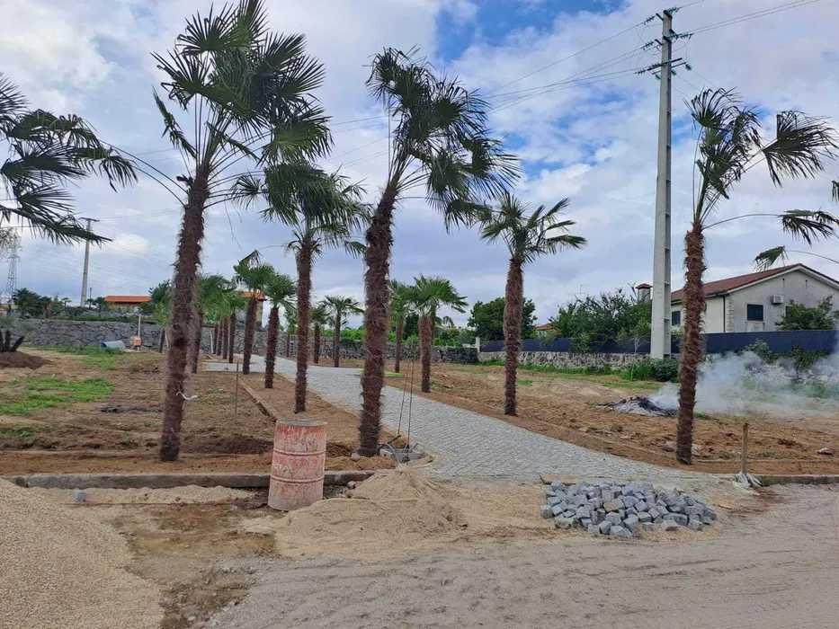 Criação e Manutenção de Jardim!