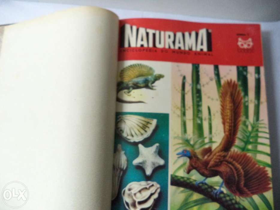 Enciclopédia Mundo Animal 1966