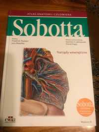 Atlas anatomii Sobotta