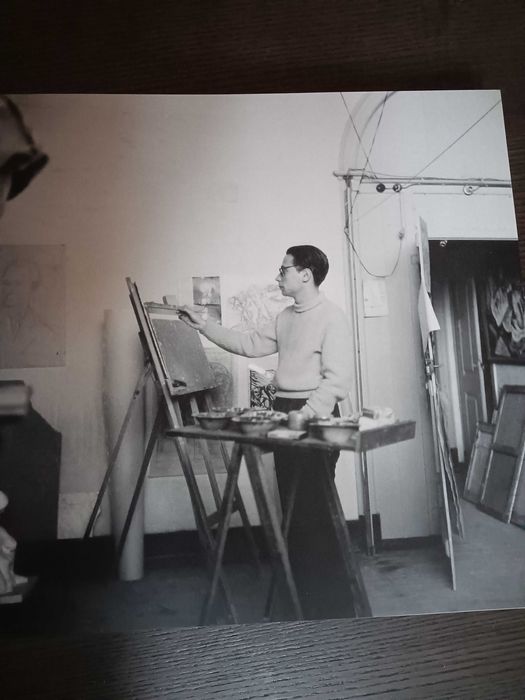 Livro Júlio Pomar - Catálogo Raisonné I