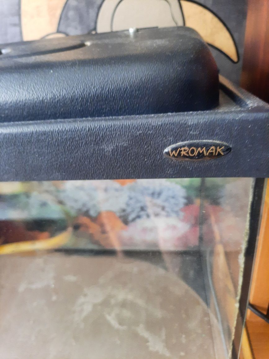 Akwarium proste 30l.