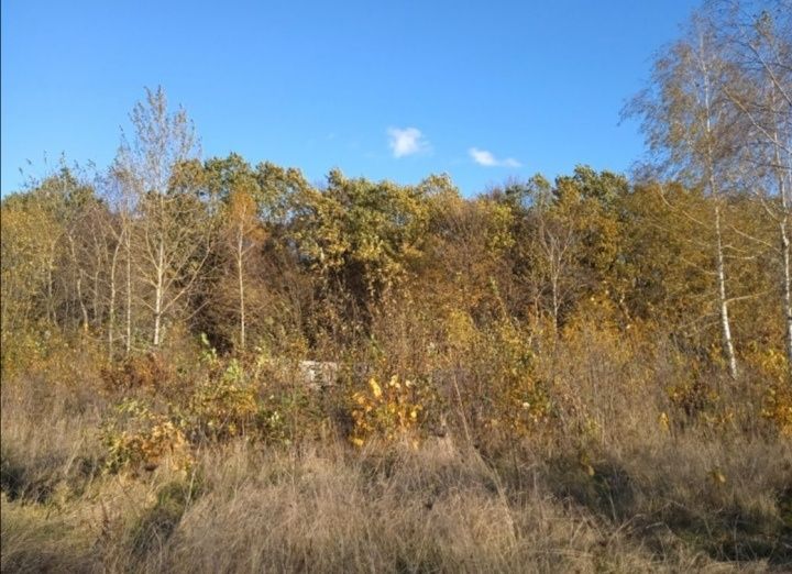Продається земельна ділянка під лісом