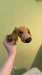 The dog collection The cat collection Mcdonalds котики собачки іграшки