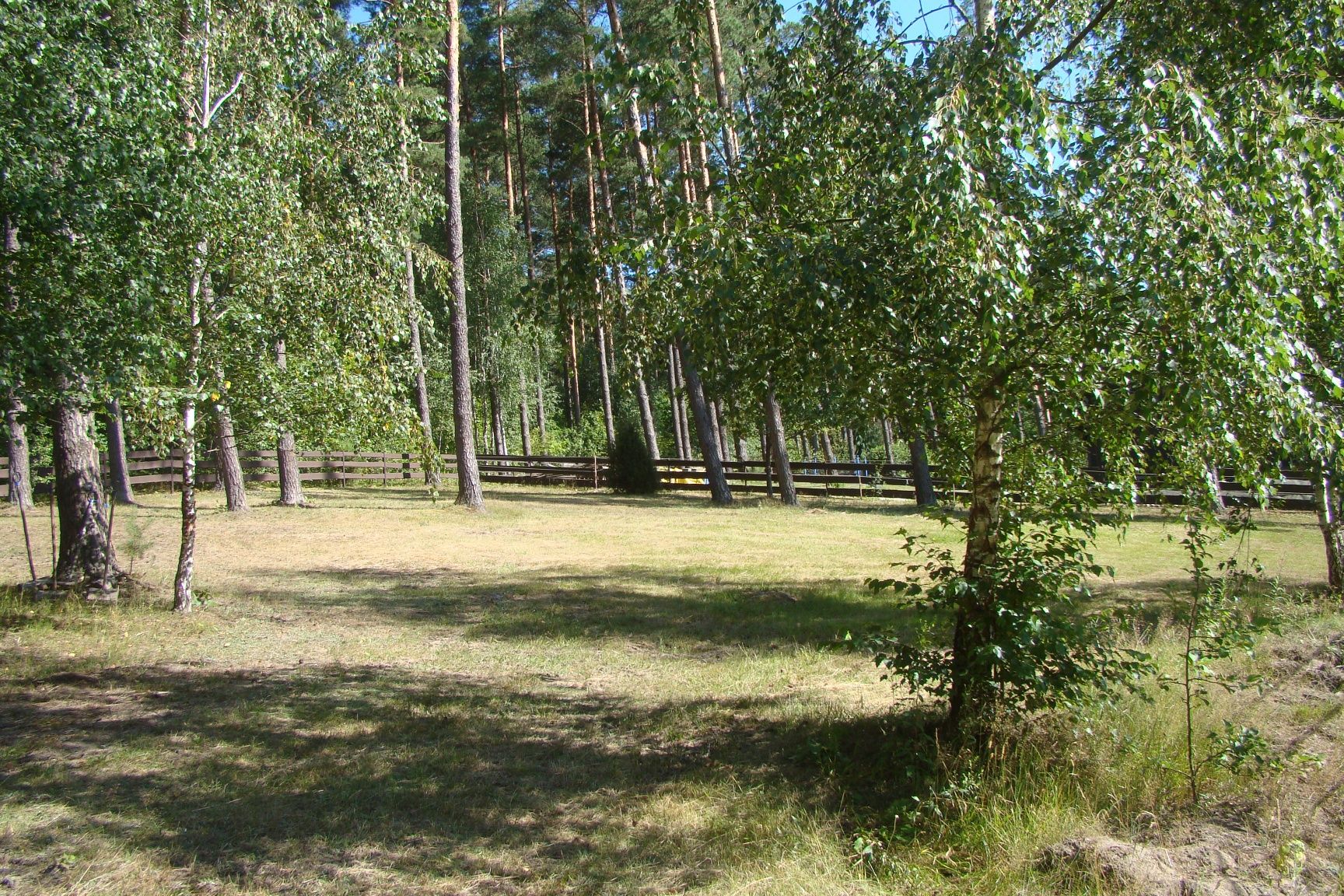 Działka budowlana 1238 m² w sercu natury – Purda | 400 m od jeziora